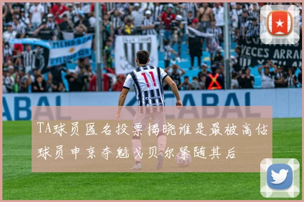 TA球员匿名投票揭晓谁是最被高估球员申京夺魁戈贝尔紧随其后